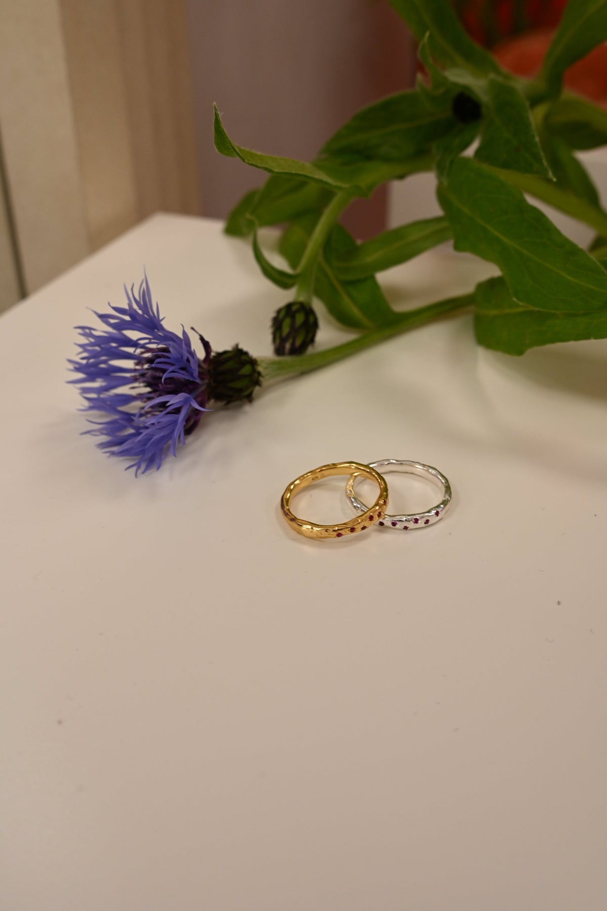 New Collection