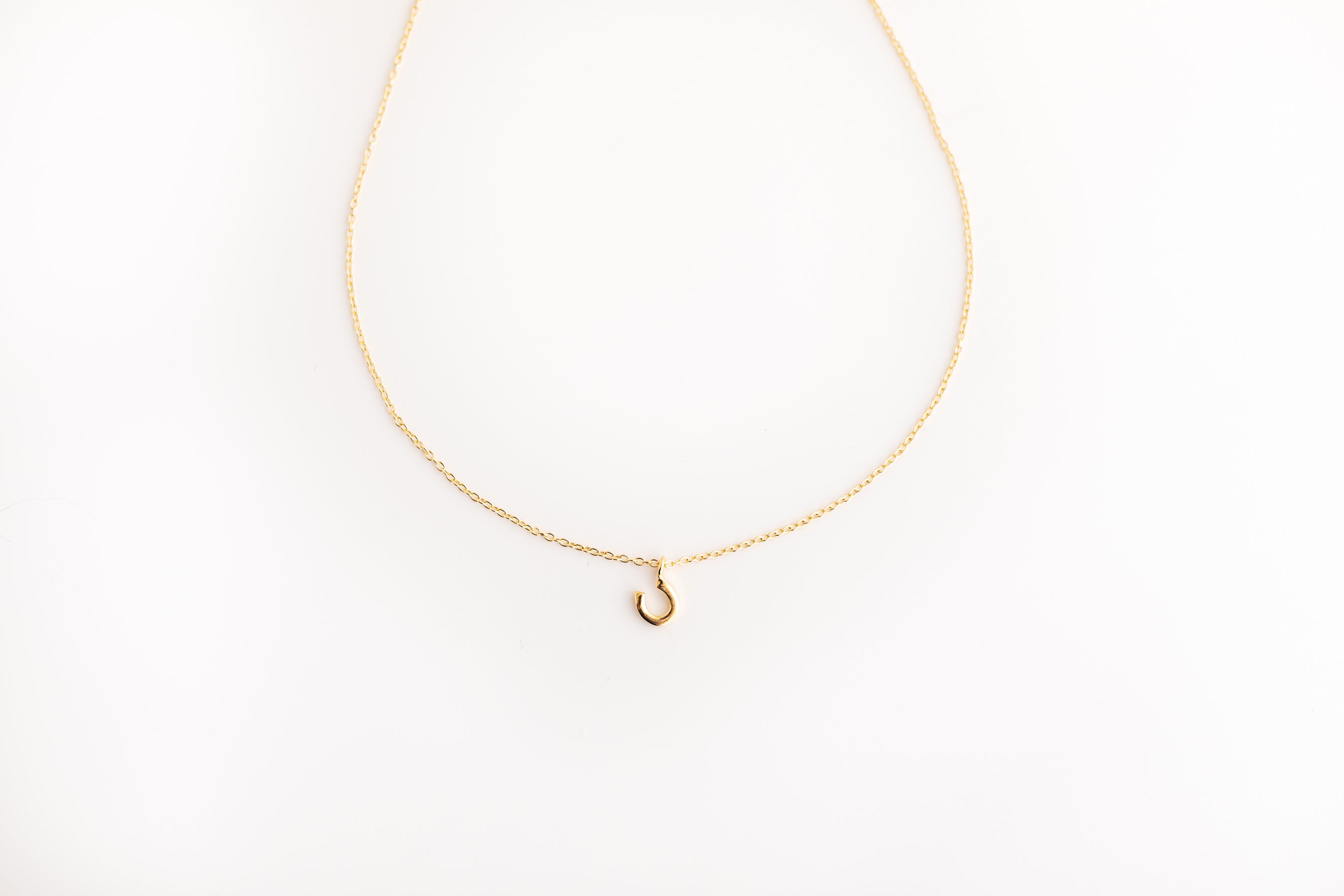 Gold Horseshoe Necklace