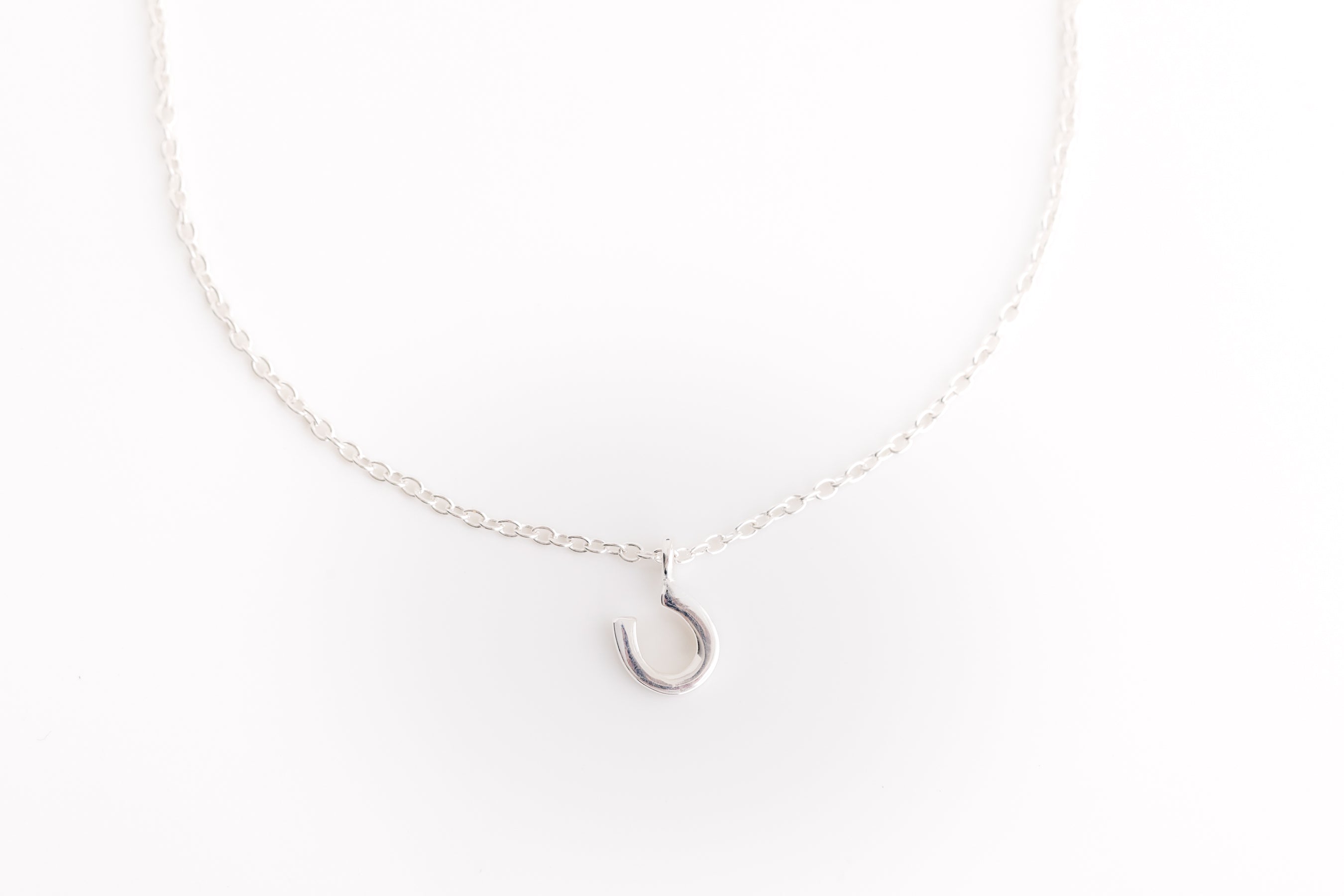 Silver Horseshoe Necklace