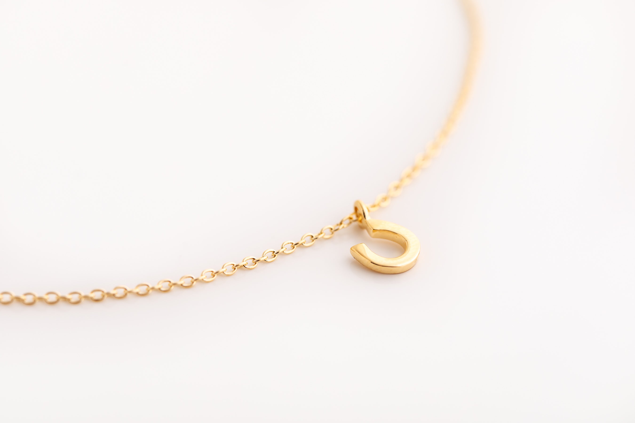 Gold Horseshoe Necklace